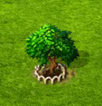 Drillingsbaum_XL[1].gif