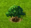 drmek_an[1].gif