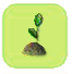 DropsEichensetzling.png
