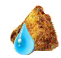Dropsis dung.png