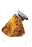 Dropsnagelklein.png
