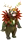 druidBear[1].png