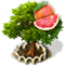 ebcb8a9b05527c3bb0175eaeafbd7ffd560ebb85[1].png