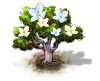 Ebenholzbaum.png