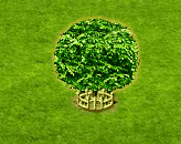 eggtree_2.gif