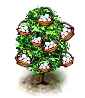 eggtree_Icon.png