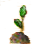 Eichensetzlingklein.png
