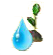 EichensetzlingWasser.png