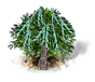 Eiscremebohnenbaum.png