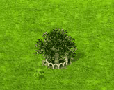 Eiscremebohnenbaum XL.gif
