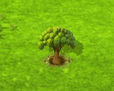 Elefantenfuß.gif
