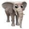 elephant.png