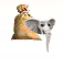 elephantfeed.png