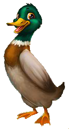 Ente_Stufe_4.png