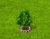 Esche XL.gif