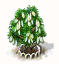 Esche xl.png
