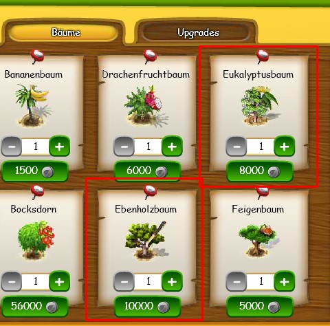 Eukalyptusbaum und Ebenholzbaum im Inselshop.jpg
