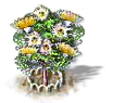 Eukalyptusbaum xl.png