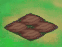 eventpfapr2025featheredfern.gif