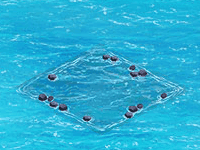 eventplayfieldaug2019cypress.gif
