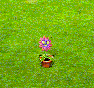 f162880d9f0b7008a431554a212221b154733dce.gif
