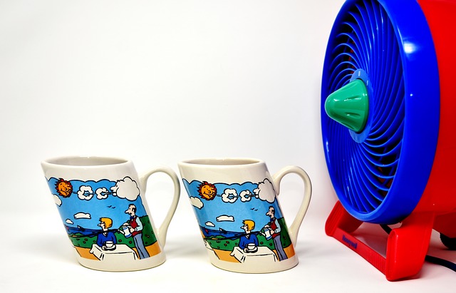 fan-3163937_640.jpg