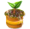 Farm-SEtzling gold.png