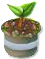 Farm-Setzling Silber.png