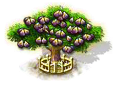 Feigenbaum xxl.png