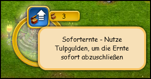 ffr.png