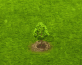 fieldmaple_upgrade_0.gif