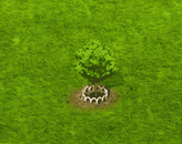 fieldmaple_upgrade_1.gif