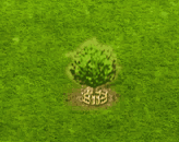 fieldmaple_upgrade_2.gif