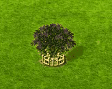 filbert_upgrade_2.gif