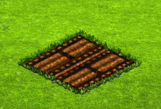 filmrollplant.gif