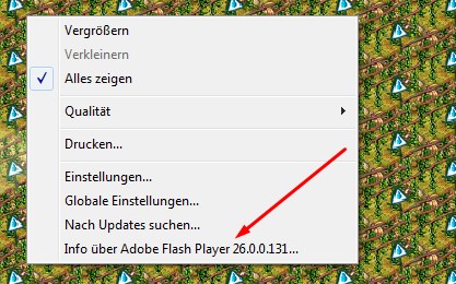 Flash Version.jpg