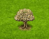 flavortree[1].gif