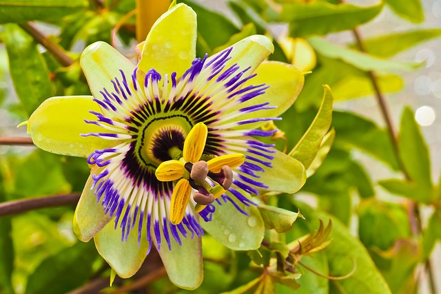flower-g6c2ff0821_640.jpg