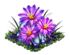 flowercactus.png