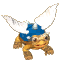 flyingTortoise.png