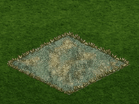 fmweekendq1oct2019cateyebloom3.gif