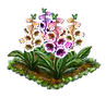 foxglove.png