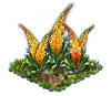 foxtaillily_Icon.png