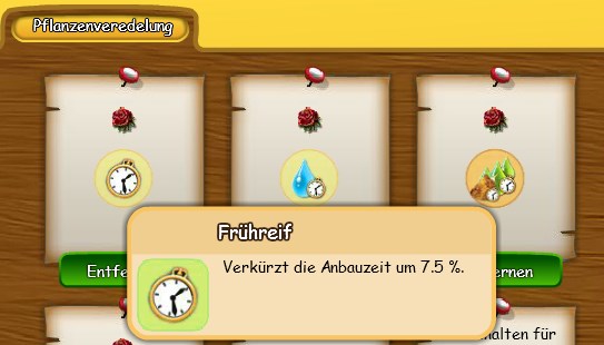 Frühreif Rose.jpg
