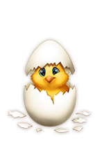 friendshipaug2018_chicken01[1].png