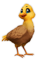 friendshipaug2018_chicken03[1].png