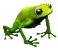 frog[1].png