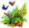 Funky_Fern_Project.png