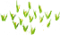 fZtQ4KZ[1].png