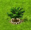 garcinia_xl_an[1].gif